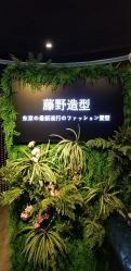 点击看大图 -藤野造型