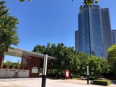 -大望京公园