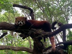 -常州淹城野生动物世界