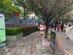 -嘉定紫藤园