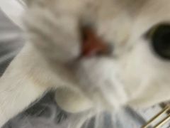 -浮光之丘MontCake生日蛋糕(科华路店)