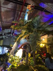 -恐龙探索乐园(磁器口店)