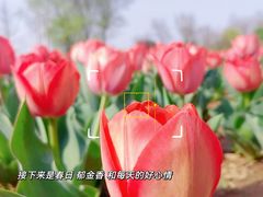 -陕西省西安植物园