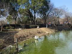 -无锡动物园·太湖欢乐园