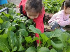 -珠海市凤凰海域国际幼儿园
