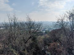 -上海佘山国家森林公园西佘山园