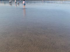 -南汇新城海滩
