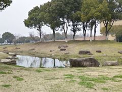 -滆湖低碳生态公园