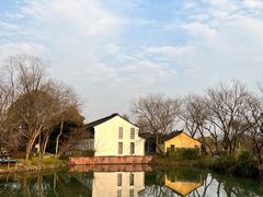 -西溪国家湿地公园