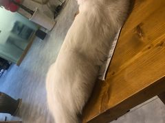 -有何Book(六堰体育馆店)