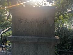 -紫金山天文台