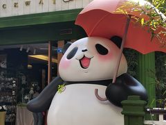 -轩客会(熊猫书店)