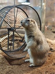 -Zoolung Zoolung动物主题公园(海信广场店)