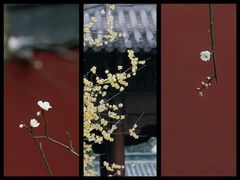 -钱王祠