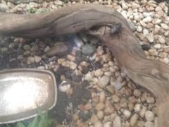 -上海昆虫博物馆