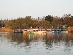 -上海长兴岛郊野公园