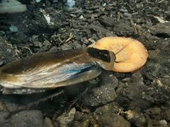 android_upload_pic-上海大自然野生昆虫馆