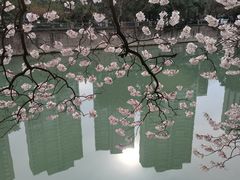 -红星桥(地铁站)