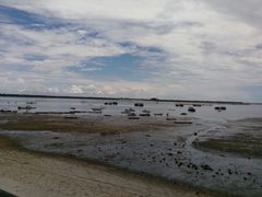 -北海金海湾红树林生态旅游区