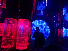 -成都浩海立方海洋公园