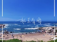 -广东惠东海龟国家级自然保护区