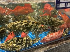 -东海怡品海鲜豆捞(舟宿夜江店)