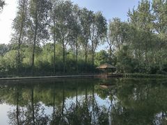 -溱湖国家湿地公园