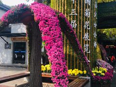-汇龙潭