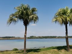 -露天矿生态公园