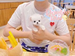-Double Rui宠物酒店