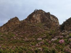-御道口草原森林风景区-游客咨询处