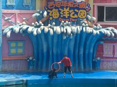 -华夏文旅海洋公园