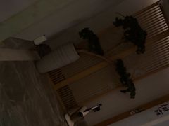 -新盈光·云会所(百丈东路店)