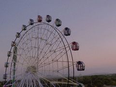 -花博汇(知音花月夜)