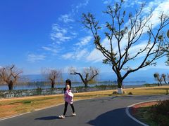 -西昌邛海宾馆