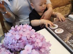 -伊斯坦布尔土耳其清真咖啡餐厅