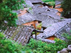 -杨家堂村