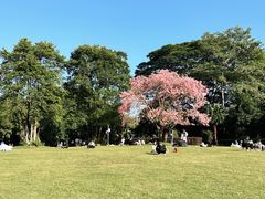 -荔香公园