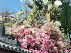 -深圳国际园林花卉博览园