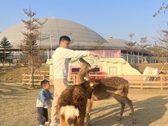 -盈香心动乐园