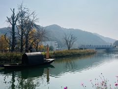 -千年银杏谷文化旅游区