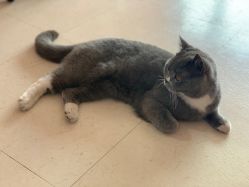 -Pink You美甲美睫纹绣定制中心