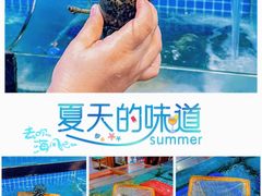 -四川小胡子海鲜(丁村万人海鲜广场店)