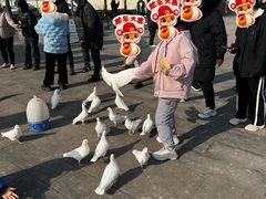 -天津妈祖文化园