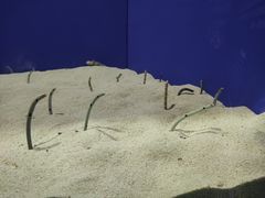 -上海海洋水族馆