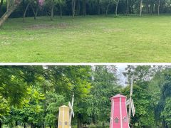 -南宁良凤江国家森林公园