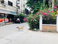 -Cheevit Cheeva(Sirimangkalajarn)