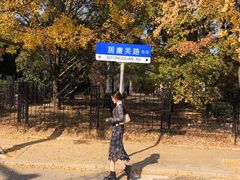-八大关景区