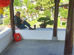 -泰州凤城河风景区-泰山公园