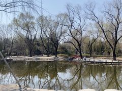 -玲珑塔公园